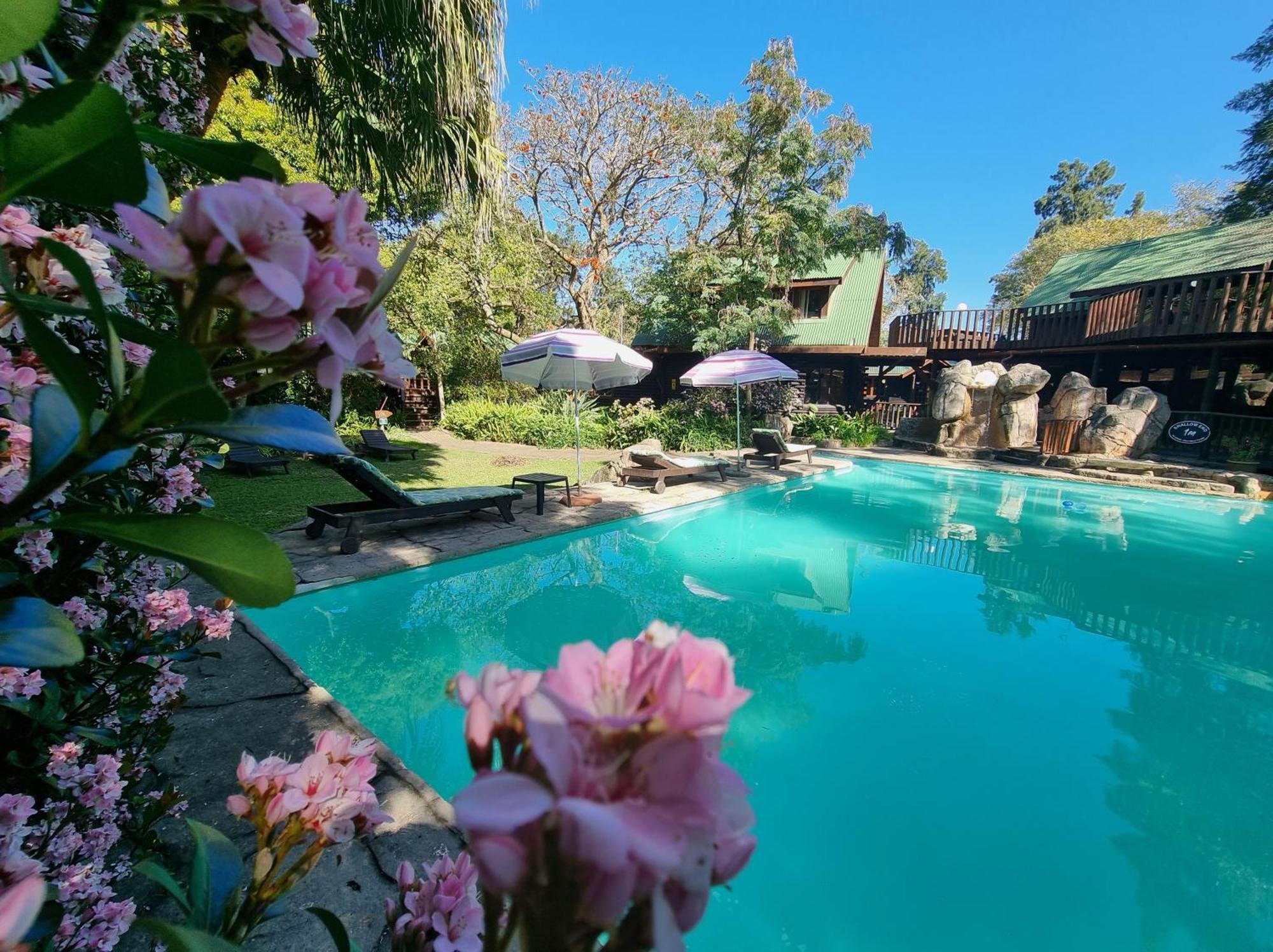 Tsitsikamma Lodge & Spa Stormsrivier Exterior photo